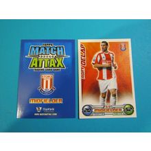Rory Delap - Stoke City - Match Attax 2008/09 Football Card