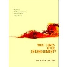 What Comes after Entanglement?