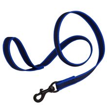 Rubber Infused Nylon Leash W3/4" x L 6' Blue