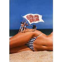 Spring Break 02 Poster Canvas Movie Film Print A0 A1 A2 A3 A4 A5 A6 Art Wall Dec