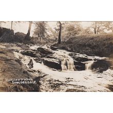 EC859 LONGDENDALE - SWALLOWS WOOD . R/P POSTCARD