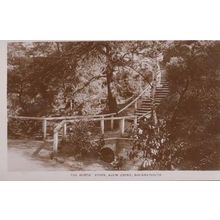 Alum Chine Dorset The Rustic Steps Real Photo Postcard