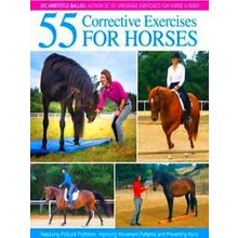 55 Corrective Exercises For HO