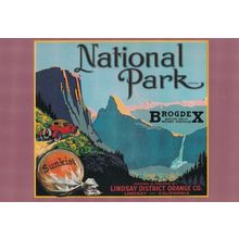 Lindsay District Orange Co National Park CA Advertising Postcard