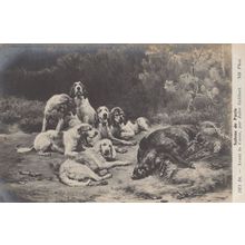 Fox Killed For Dogs To Eat Antique Hunting Painting Postcard