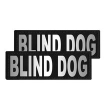 Removable Patches (2 Per Pack) - 2 x 6" BLIND DOG
