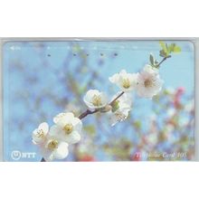 Cherry Blossom Japan NTT Phone Card