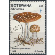 Christmas, Fungi: 35t - Botswana 1982 - FH - SG 535