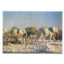 AFRICAN ELEPHANT, SOUTH AFRICA used vintage postcard 1987 POSTMARK? =