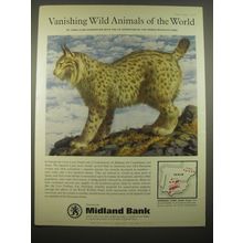 1966 Midland Bank Ad - Spanish Lynx - Vanishing Wild Animals of the World