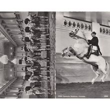 Spanish Wien Riding School Austria 2x Vintage Real Photo Postcard s