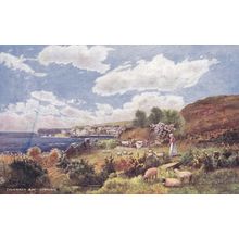 Coverack Bay( Picturesque Counties )Cornwall Postcard (CR72723)