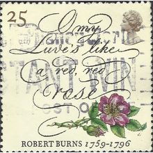 GB, FLOWER, Red Red Rose, Burns, white 1996, 25p