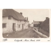 Cadgwith Cornwall in Victorian Times 1899 Postcard