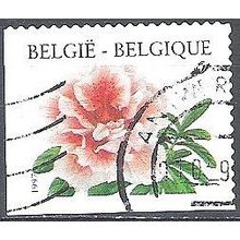 Belgique 1997 Michel 2784BEL O Cote (2008) 3.00 € Rhododendron Cachet rond