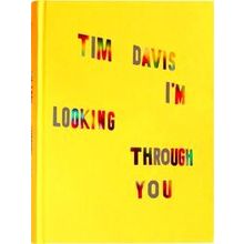 Tim Davis: I'm Looking Through You - Tim Davis