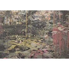 Water Lily House at the Kew Gardens Nymphae Plants Painting Postcard