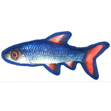 12" Tropical Shiner