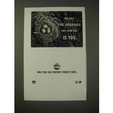 2002 U.S. Forest Service Ad - The only fire insurance this home has is you