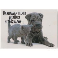Cat With Hungary Hungarian Bulldog Dog Love Romance Photo Postcard