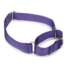 Guardian Gear Nylon Martingale Dog Collars 18-26 in Ultra Violet