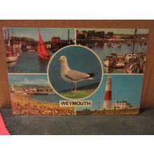 WEYMOUTH, DORSET. multiview used postcard dated 1974 seagull =