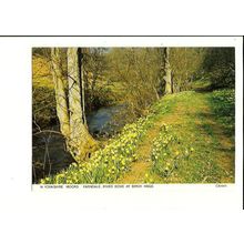 Yorkshire FARNDALE River Dove Postcard by Judges (C6441)