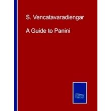 A Guide to Panini