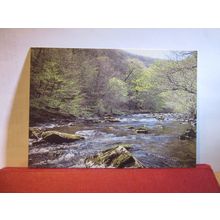 RIVER BARLE, SOMERSET unused postcard. Exmoor National Park =