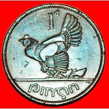 Ⰶ GREAT BRITAIN 1940-1968:IRELAND★1 PENNY 1963 HEN & CHICKS★LOW START★NO RESERVE
