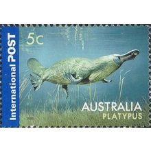 AUSTRALIA, MAMMAL, Platypus, blue 2006, 5c, #3