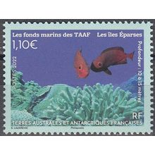 TAAF 2022 Fond marin des Iles Eparses poissons Neuf **