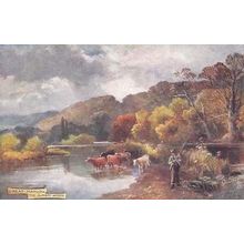 Great Marlow Quarry Woods Vintage Bucks Postcard Oilette