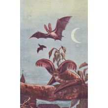 Dinosaur Bats Mamiferos Antique Bat Spanish Postcard Style Trade Card