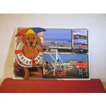 multiview, CHERBOURG, FRANCE used postcard 2002 pm dog =