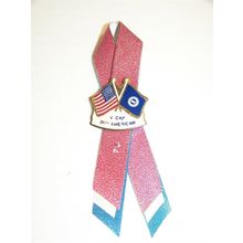 UAW V CAP BUY AMERICAN LAPEL / HAT PIN & RIBBON UNITED AUTO WORKERS