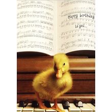 This Songs For You - Happy Birthday - 14687
