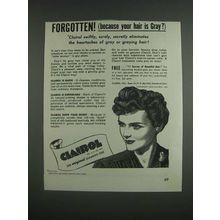 1943 Clairol Shampoo Tint Ad - Forgetten! (Because your hair is gray?)