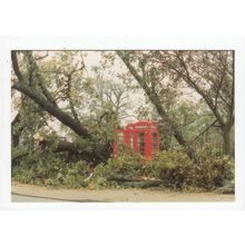 1987 Hurricane Telephone Boxes Chalkwell Park Westcliff-on-Sea Postcard Essex H