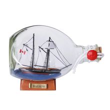Pack Of 2] Bluenose Sailboat in a Glass Bottle 7""