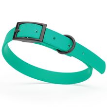 Dog Pet Waterproof Collar - W5/8" x L12"-15" - Teal
