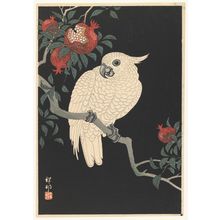 Ohara Koson - Cockatoo and Pomegranate (1930s) Poster Canvas Movie Film Print A0