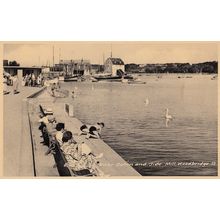 River Deben Woodbridge Swans Girl Nearly Falling Old Suffolk Real Photo Postcard