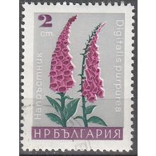 Bulgaria 1966 Michel 1686 O Cote (2009) 0.10 € Fleur La Digitale pourpre