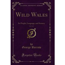 Wild Wales, Vol. 2 of 3: Its People, Language, and Scenery (Classic Reprint)