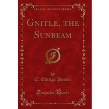 Gnitle, the Sunbeam (Classic Reprint)