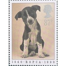 GB QEII 1990 Anniversary RSPCA 37p Puppy Unmounted Mint MNH SG 1482 Sc1303 stamp