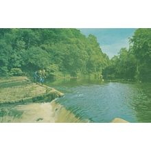Children Fishing at Bridge Of Allan Stirling Scottish 1970s Postcard