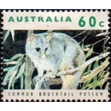 Australia 1992 60c Value. Common Bushtail Possum. Fine Used