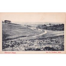 Cannock Chase Staffordshire Wyndham Series Antique Postcard